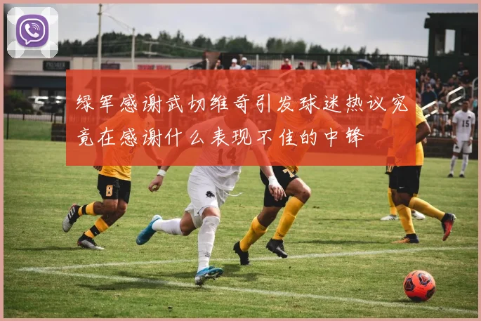 绿军感谢武切维奇引发球迷热议究竟在感谢什么表现不佳的中锋