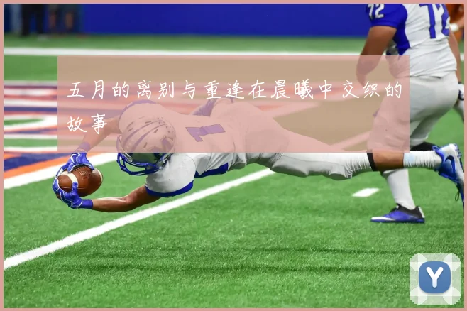 五月的离别与重逢在晨曦中交织的故事